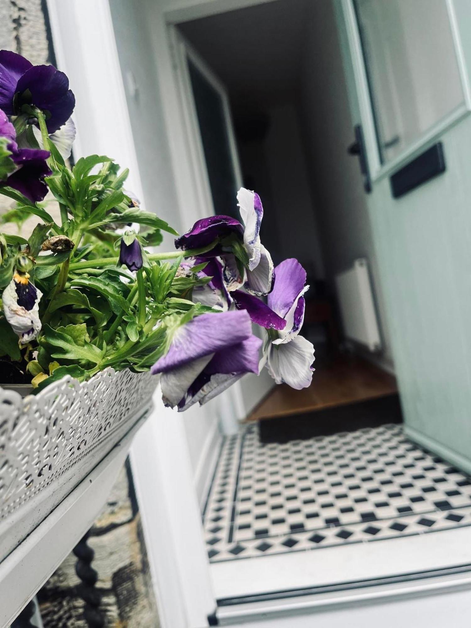 7A Seatreat Apartment Kinghorn Bagian luar foto